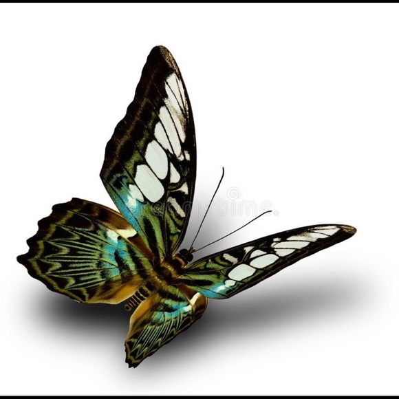 Pretty printed carpi Fila - Picture 11 of 11